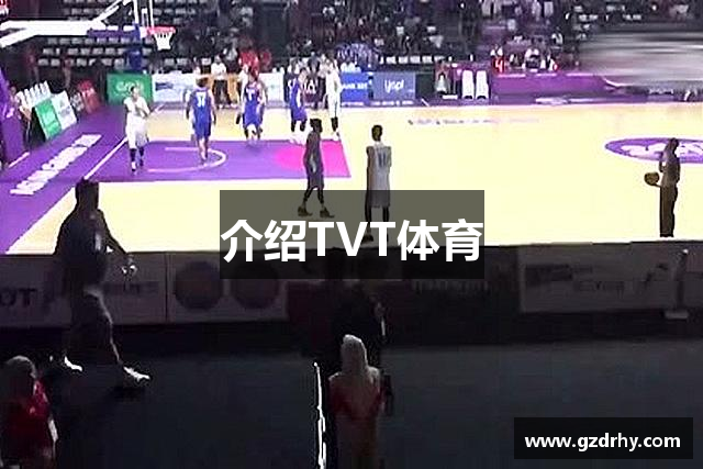 介绍TVT体育